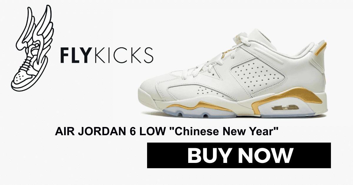 Jordan 6 hot sale new year